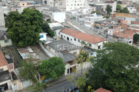 Image 44 - 1030773