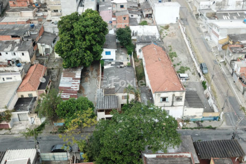 Image 45 - 1030773