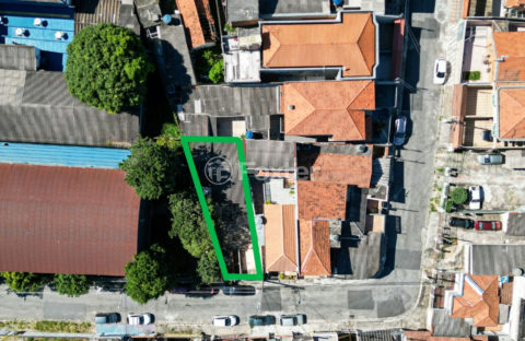 Image 3 - 1030839