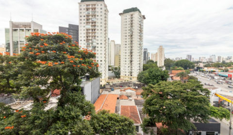Image 7 - 1030859