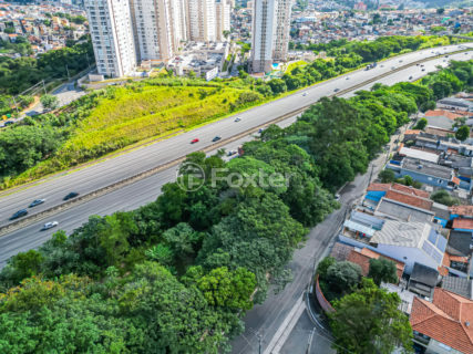 Image 8 - 1031047