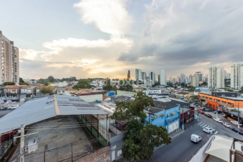 Image 19 - 1031055