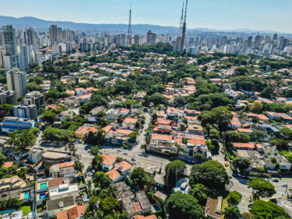 Image 84 - 1031067