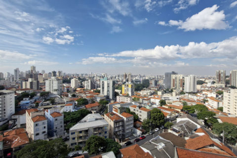 Image 40 - 1031132