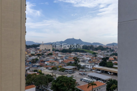 Image 37 - 1031151