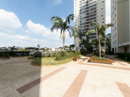 Image 36 - 1031155