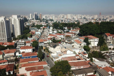 Image 74 - 1031166