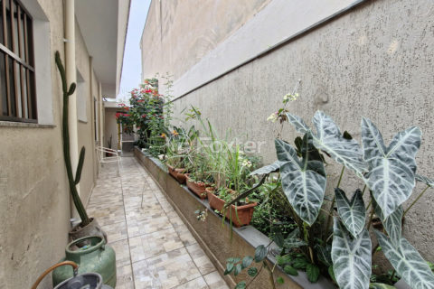 Image 24 - 1031181