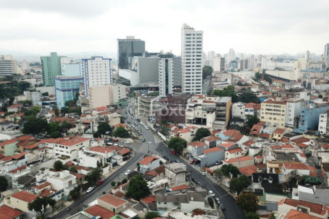 Image 37 - 1031181