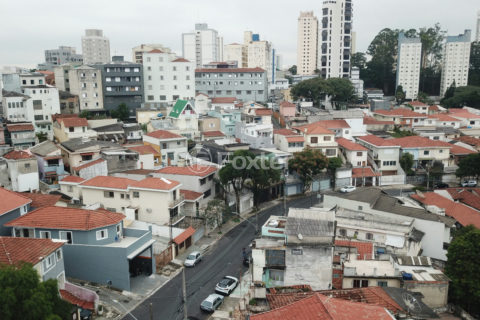 Image 41 - 1031181