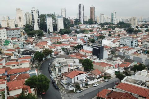 Image 43 - 1031181