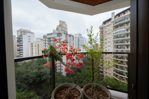 Image 29 - 1031195