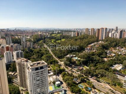Image 43 - 1031198