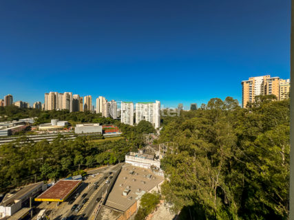 Image 42 - 1031198