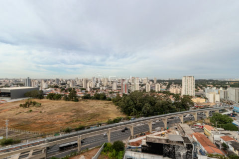 Image 13 - 1031227