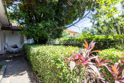 Image 31 - 1031250