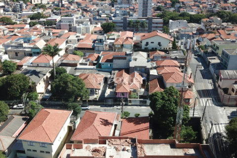 Image 53 - 1031254