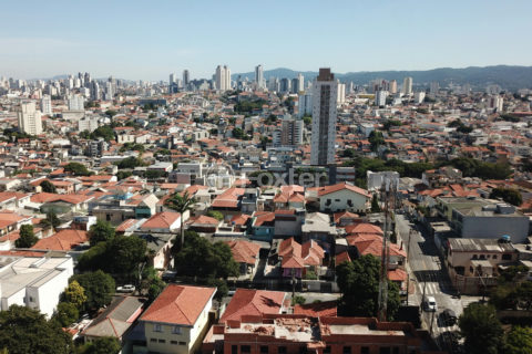 Image 52 - 1031254