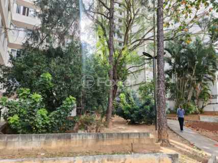 Image 36 - 1031259