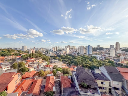 Image 33 - 1031269