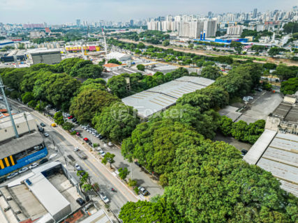Image 10 - 1031296