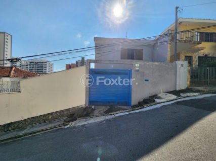 Image 35 - 1031316