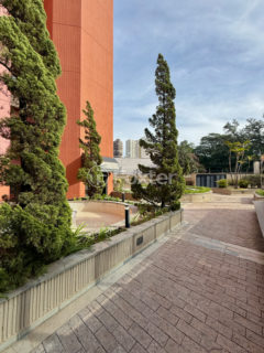 Image 57 - 1031376