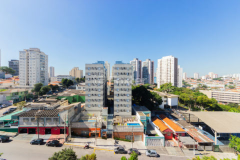 Image 40 - 1031386