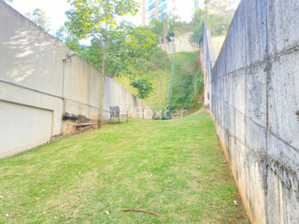 Image 48 - 1031424