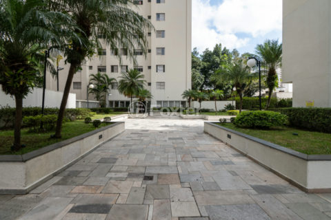 Image 24 - 1031467