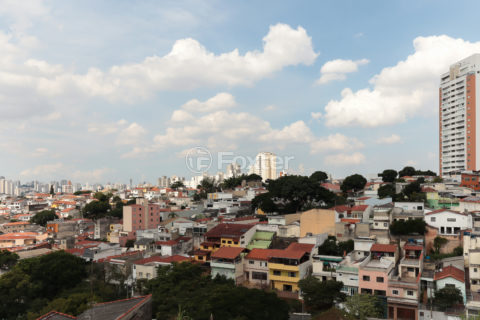 Image 20 - 1031516