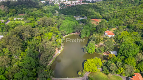 Image 11 - 1031518