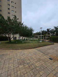 Image 35 - 1031549