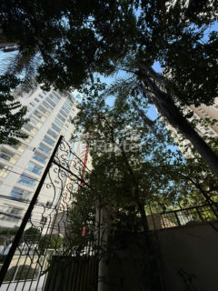 Image 60 - 1031565