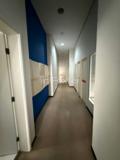 Image 50 - 1031565