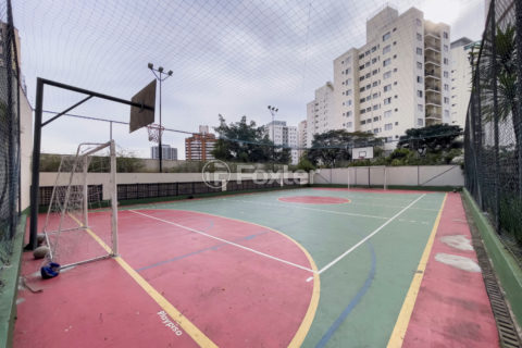 Image 42 - 1031584