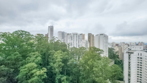Image 14 - 1031592