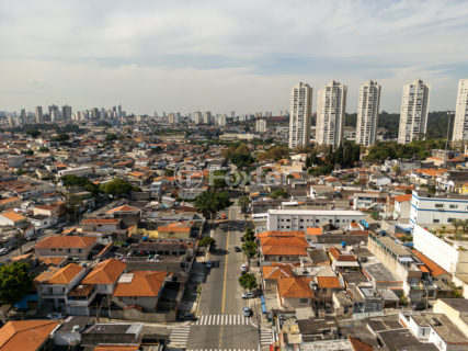 Image 11 - 1031706