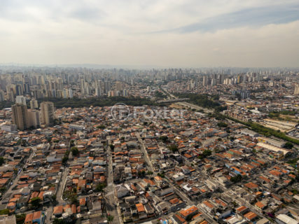 Image 8 - 1031706