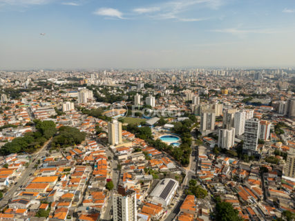 Image 6 - 1031706