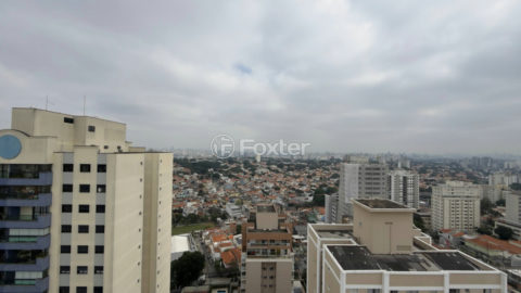 Image 43 - 1031752