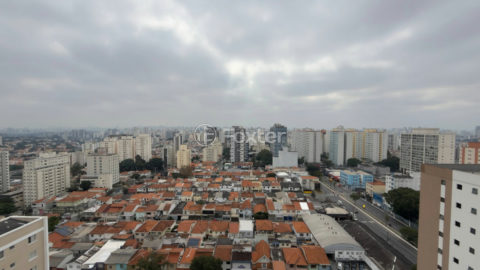 Image 38 - 1031752