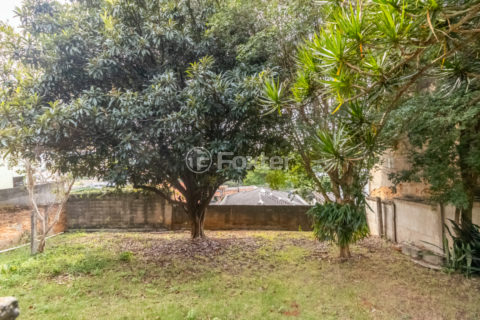 Image 30 - 1031782
