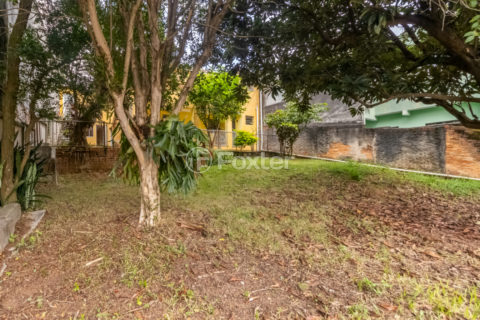 Image 29 - 1031782