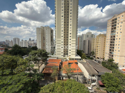 Image 28 - 1031803