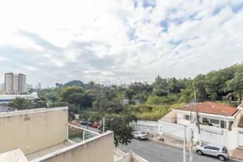 Image 16 - 1031899