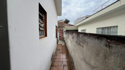 Image 15 - 1031921