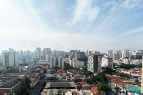 Image 13 - 1031928