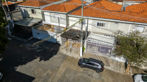 Image 36 - 1032025