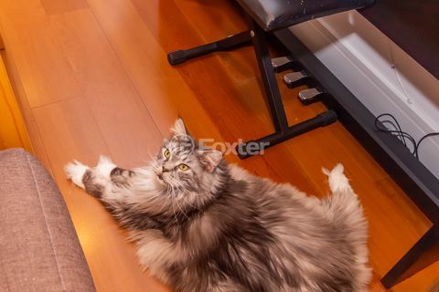 Image 14 - 1032029